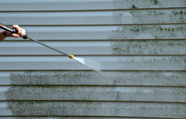 Best Pressure Washing Siding  in Tamiami, FL