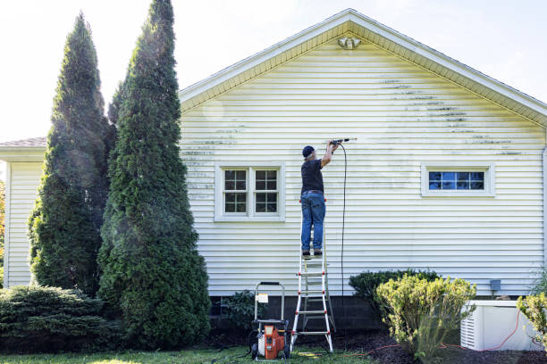 Best Residential Pressure Washing Services  in Tamiami, FL
